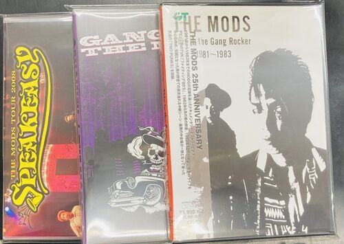 2026年2月19日(木) 新着中古品入荷情報 宮里久美、Rie、渚にて