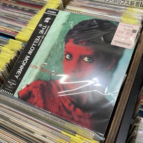 2026年9月25日(金) 新着中古品入荷情報 ザ・イエロー・モンキー関連 LP