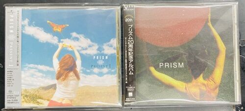 2025年2/9(日) 新着中古品入荷情報 秋元ともみ、サンタ