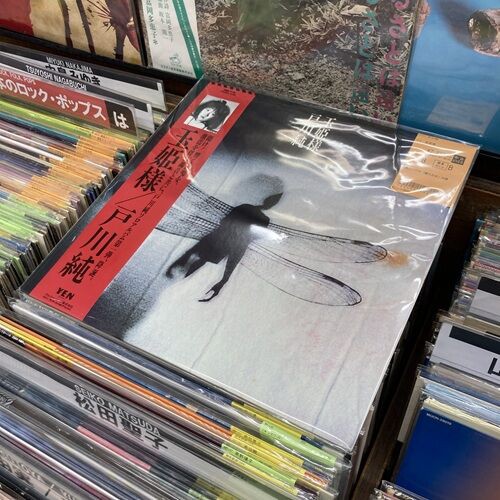 2026年2月2日(月) 新着中古品入荷情報② LP 約100点入荷いたしました
