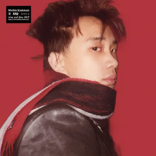 2月4日(水) 新品 新入荷情報 : ディスクユニオン平成J-POPストア