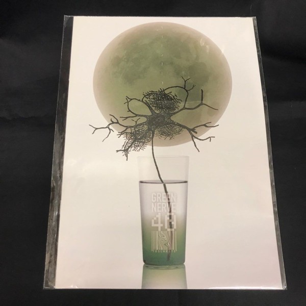 GREEN NERVE 公式ファンクラブ会報 Vol.3 平沢進