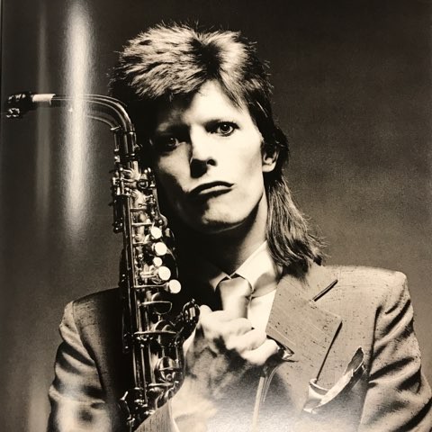 THE RISE OF DAVID BOWIE 1972-1973/MICK ROCK」入荷!! : ディスク
