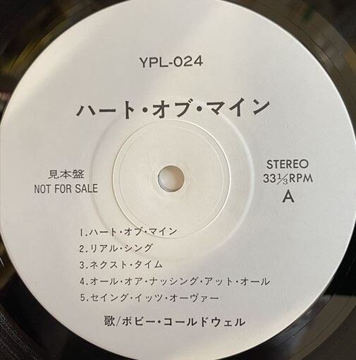 □中古□5/26(月) PUNK/HARDCORE レコード100点放出!! : 横浜の