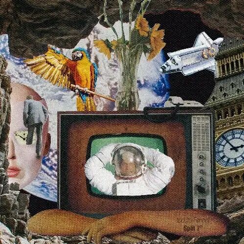 ☆PUNK新譜入荷情報☆2025/2/13 : ディスクユニオン新宿パンクマーケット