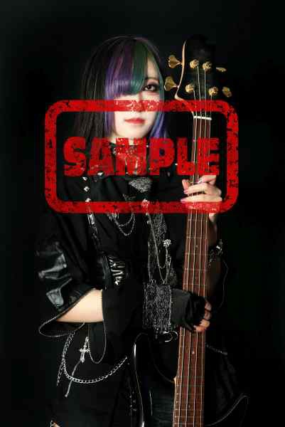 ☆Sirius☆Fly High☆日本盤☆帯付☆CD☆シリウス☆