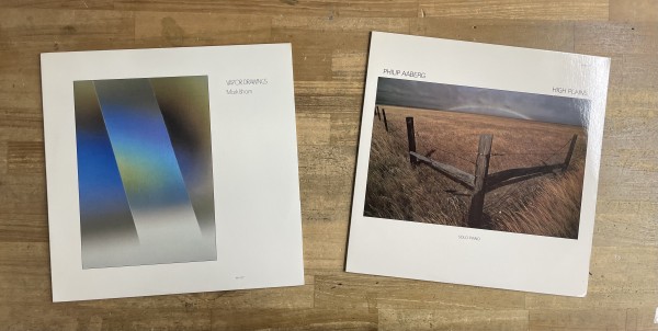 3枚 レコード Suso Saiz . Dennis Young 他 SUSO SAIZ入荷しました～ウィンダム・ヒル再考 : ディスク
