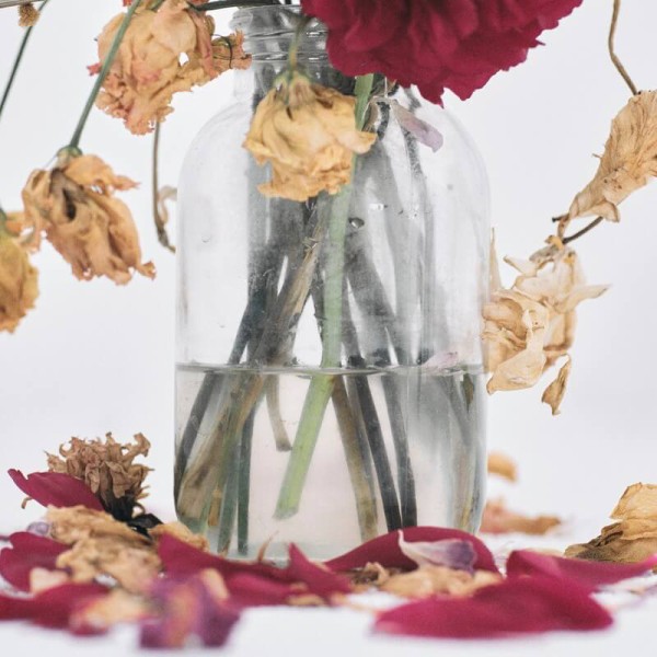 ◇9月号◇ HIPHOP STAFF'S CHOICE!!【ディスクユニオン横浜西口店