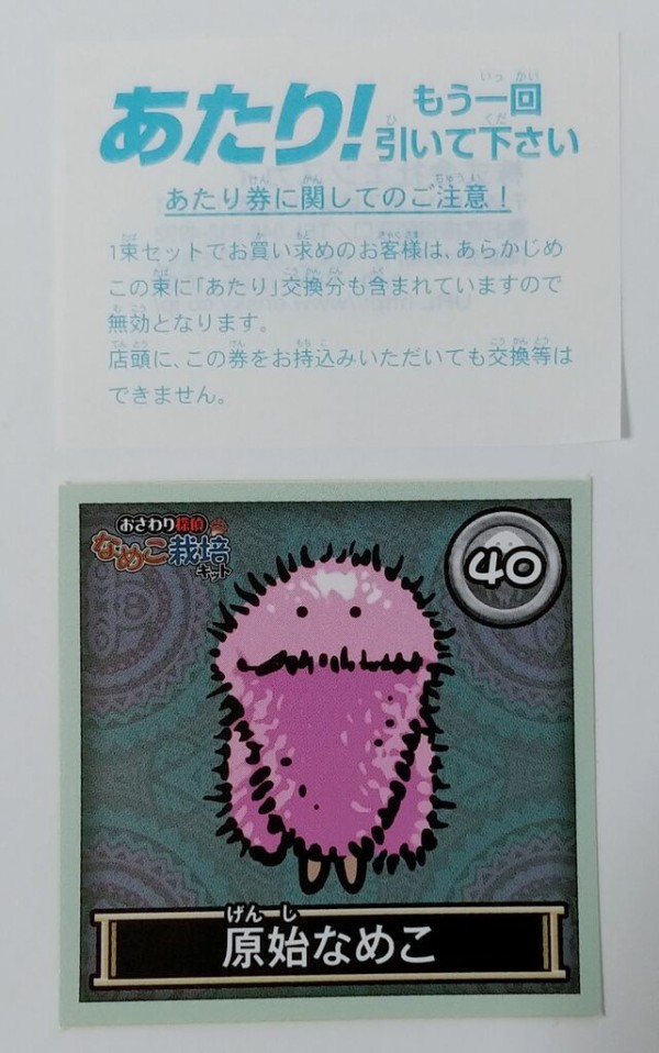 エンスカイ おさわり探偵なめこ栽培キット なめこれくしょんしーる2