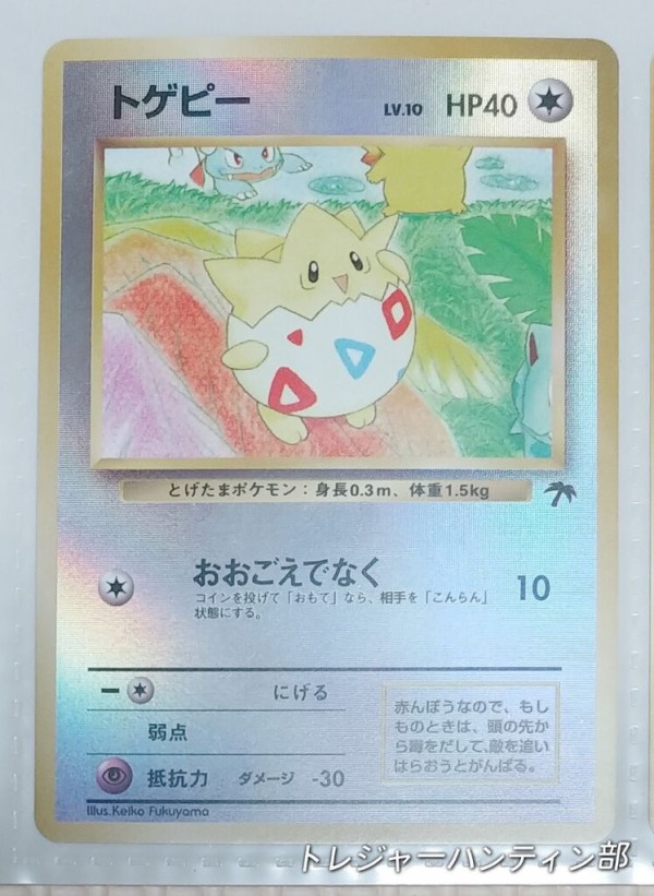 1998年 ポケットモンスター カードゲーム サザンアイランド レインボー