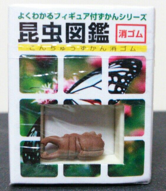 昆虫図鑑 フィギュア付 消しゴム : トレジャーハンティン部、部長のブログ