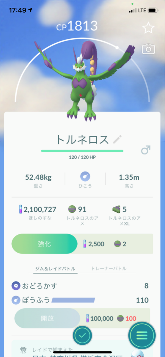 最新 ポケモン トルネロス 捕まえ方 アニメーション クールな写真のイラスト