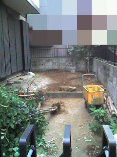 庭のｄｉｙ ガーデニング にチャレンジ ツマが平板を敷いてみたいとか ダッド パパ のdiy Usedブログ