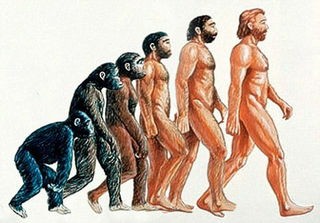 人類の起源 人間の謎