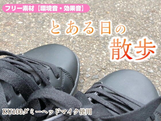 みんなの効果音 効果音 環境音 フリー素材集 とある日の散歩 ダミヘ収録の高音質asmr Dlsiteメモ 2nd