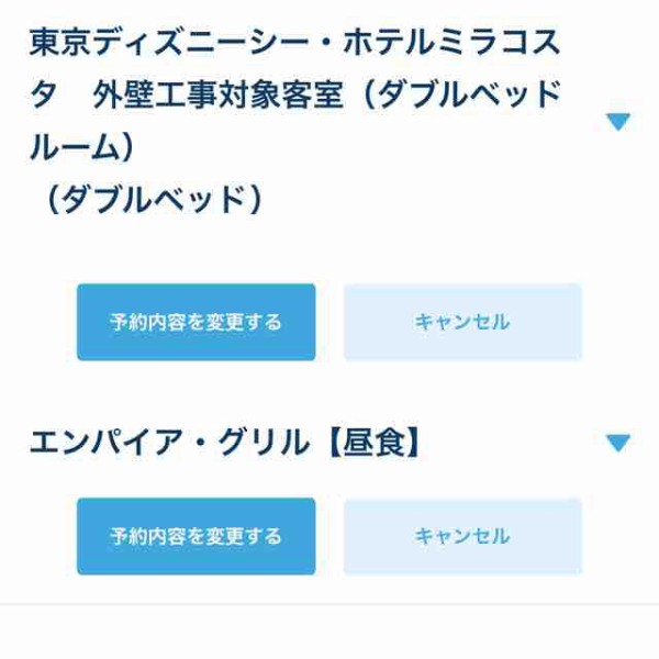 しょうがないけど おひとりさまとたまに姪っ子と行くディズニーの旅