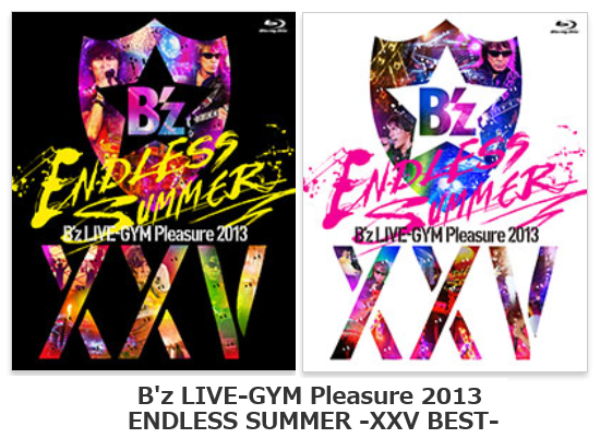 B'z LIVE-GYM Pleasure2013 ENDLESS SUMMER XXV BEST : Dear my lovely