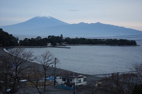 箱根 伊豆旅行 箱根 三島スカイウォーク 大瀬崎泊 沼津港 どばっち日記