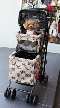 マザーカート パリエロコラボモデル パリエロチカ ペットカート