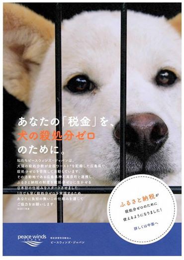 広島 岡山でペット犬を飼うならペットショップへ行く前に犬 ペットの飼い主募集ピースワンコジャパンへ 犬 ペットを飼う予定ならペットショップへ行く前にのblog