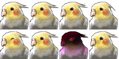 コンプリート 鳥の顔 イラスト素材画像無料