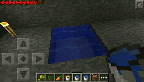 マインクラフトpe 動物の誘導と噴水を作った マインクラフトpe 村を豊かにしたい