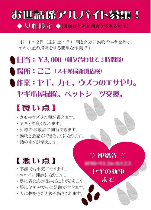 アルバイト募集 ヤギ飼ってみた