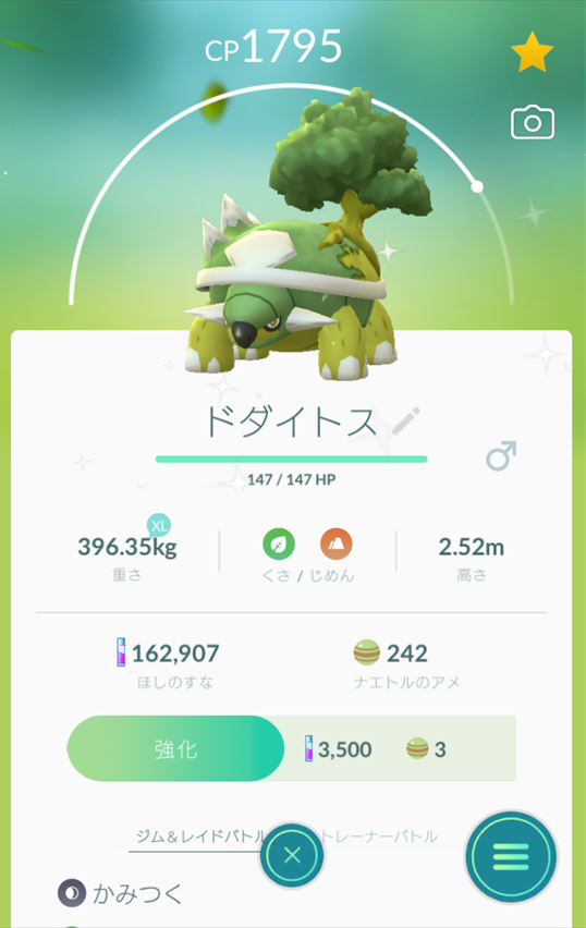 ナエトルコミュニティデイ ドンアソーひたすら趣味ー