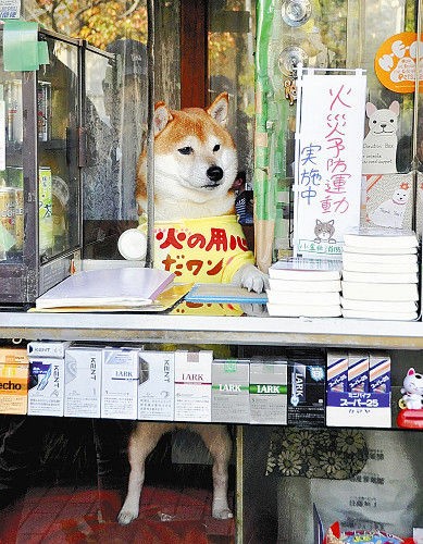 世界中から客 シバちゃん のたばこ店閉店 いぬねこ動物集会所