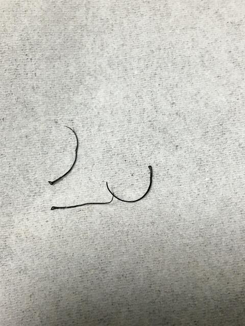 画像 極太の鼻毛が抜けたから見てって 鈴木さん速報