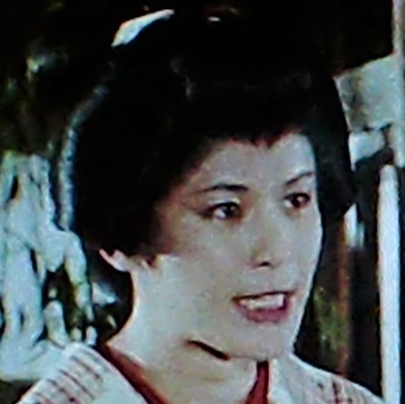 平田満由美 俳優メモ