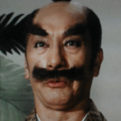 遠山金次郎 俳優メモ