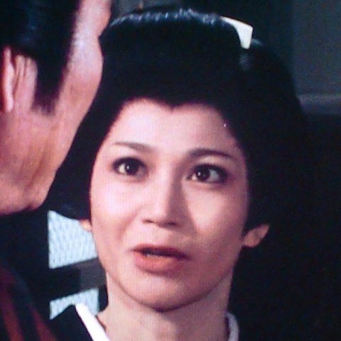 AV女優高原純子 夏 純子 : 俳優メモ