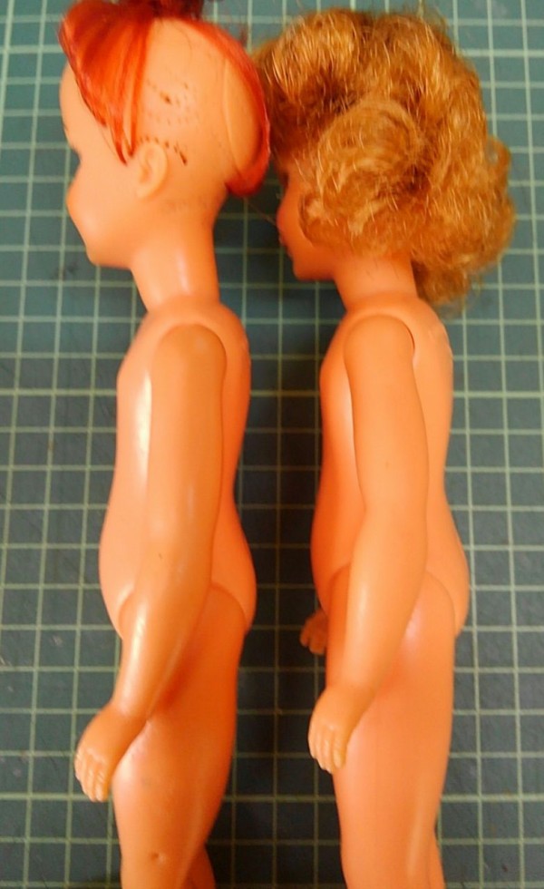 ペッパーちゃんのあれこれ : ながいぬのみちくさ