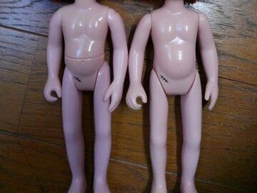 マドレーヌちゃんのあれこれ : ながいぬのみちくさ