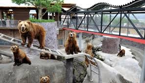 パンくんがいる動物園でクマの共食い発生 タツノコまとめ