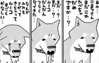 動物漫画 いとしのムーコ がアホ犬すぎておもしろいｗｗｗ 考察レビュー バズマン