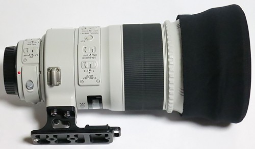 憧れのサンニッパ☆EF300mm F2.8L IS USM 大谷翔平撮影レンズ 憧れの