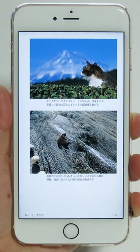 小さなスマホ好きが敢えてデカい iPhone 6s Plus に買い換えて2ヶ月