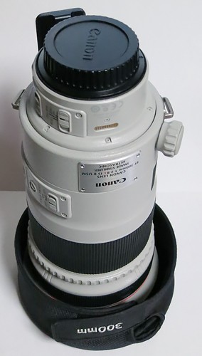 大口径望遠超望遠レンズをフードなしで持ち歩く時に最適なレンズ