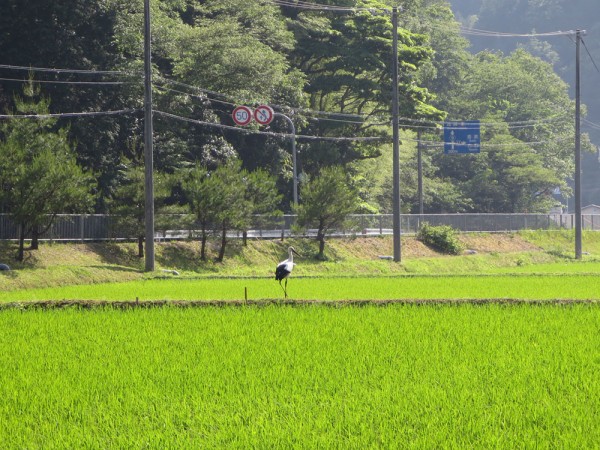 いつでもどこでも超望遠 500mm！画角は力、手のひらサイズの超