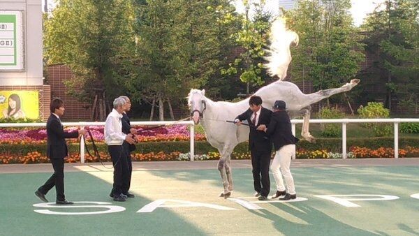 ウマ娘 ゴルシ主役の三期があったらどんな感じになるかな 同人速報