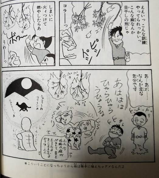 3大男が読んでも面白い少女漫画 君に届け ちはやふる あと一つは 同人速報