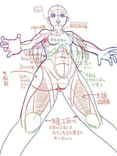 下からの構図は難しい ぱんつ描きたかっただけなのに だうねこの投資と消費