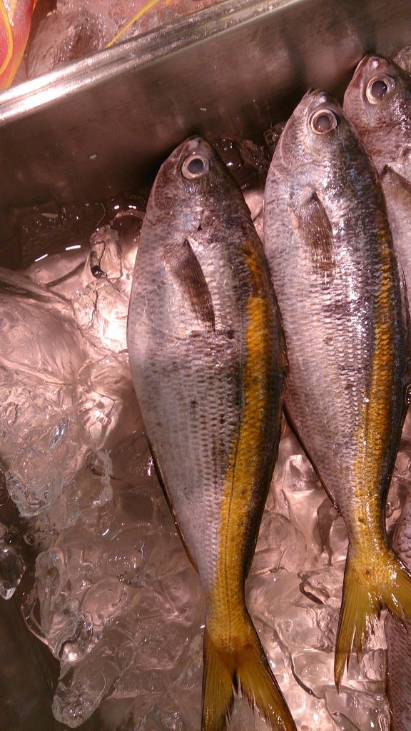 美味しい魚 タカベ いせさき ねこげた日記