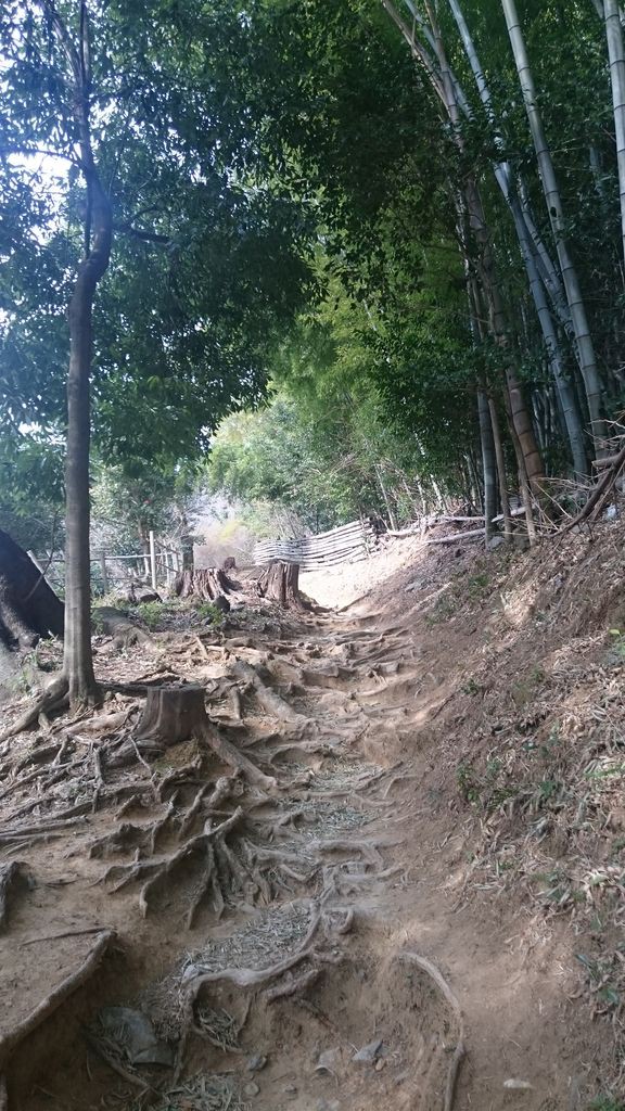 桐生 吾妻山 女吾妻山縦走 いせさき ねこげた日記