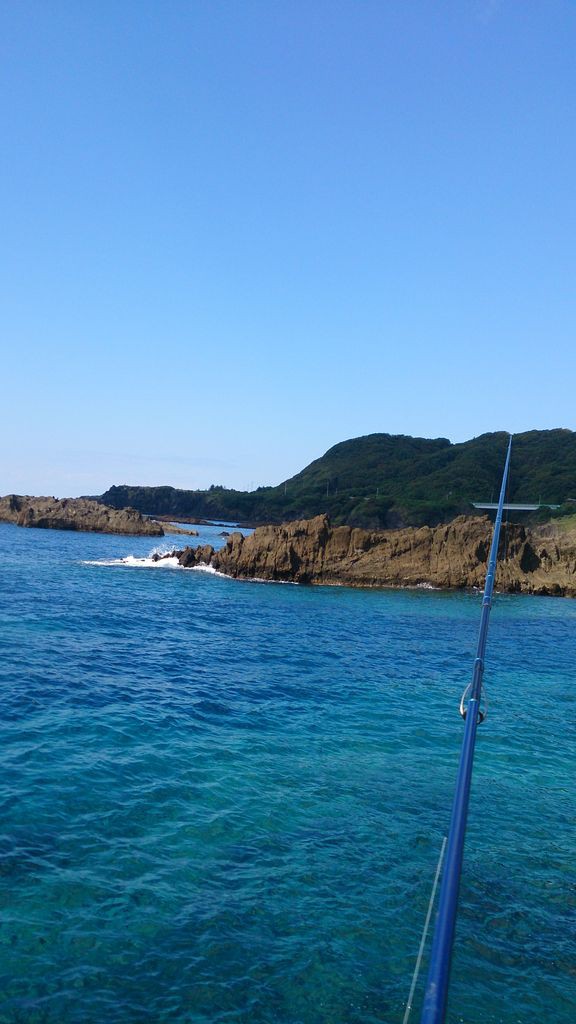 佐渡小木のアオリイカ釣り いせさき ねこげた日記