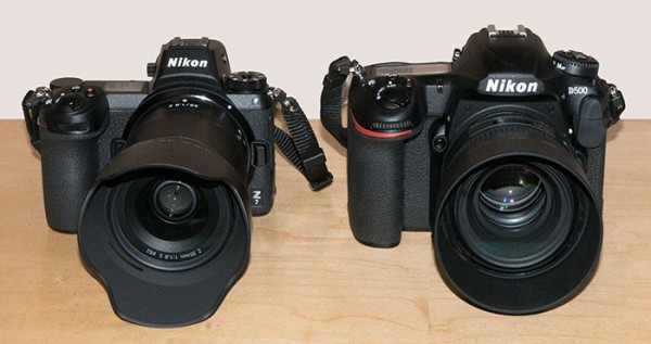 ニコン D500 レビュー / Nikon D500 vs Z6Ⅱ : DPHOTO.jp