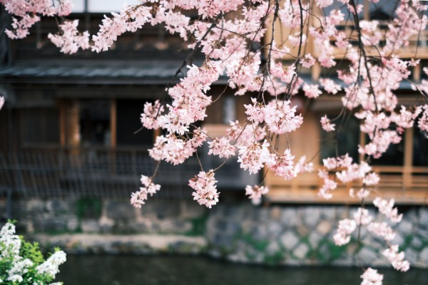 Fujifilm X-Pro3 Review, X-Pro 後継機 : dphoto.jp 作品撮りを楽しもう