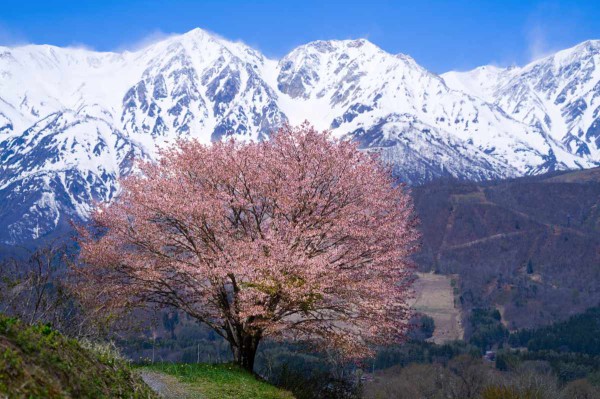風景写真 / Landscape Photography : dphoto.jp 作品撮りを楽しもう
